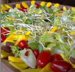 Salada de legumes para refrescar no verão